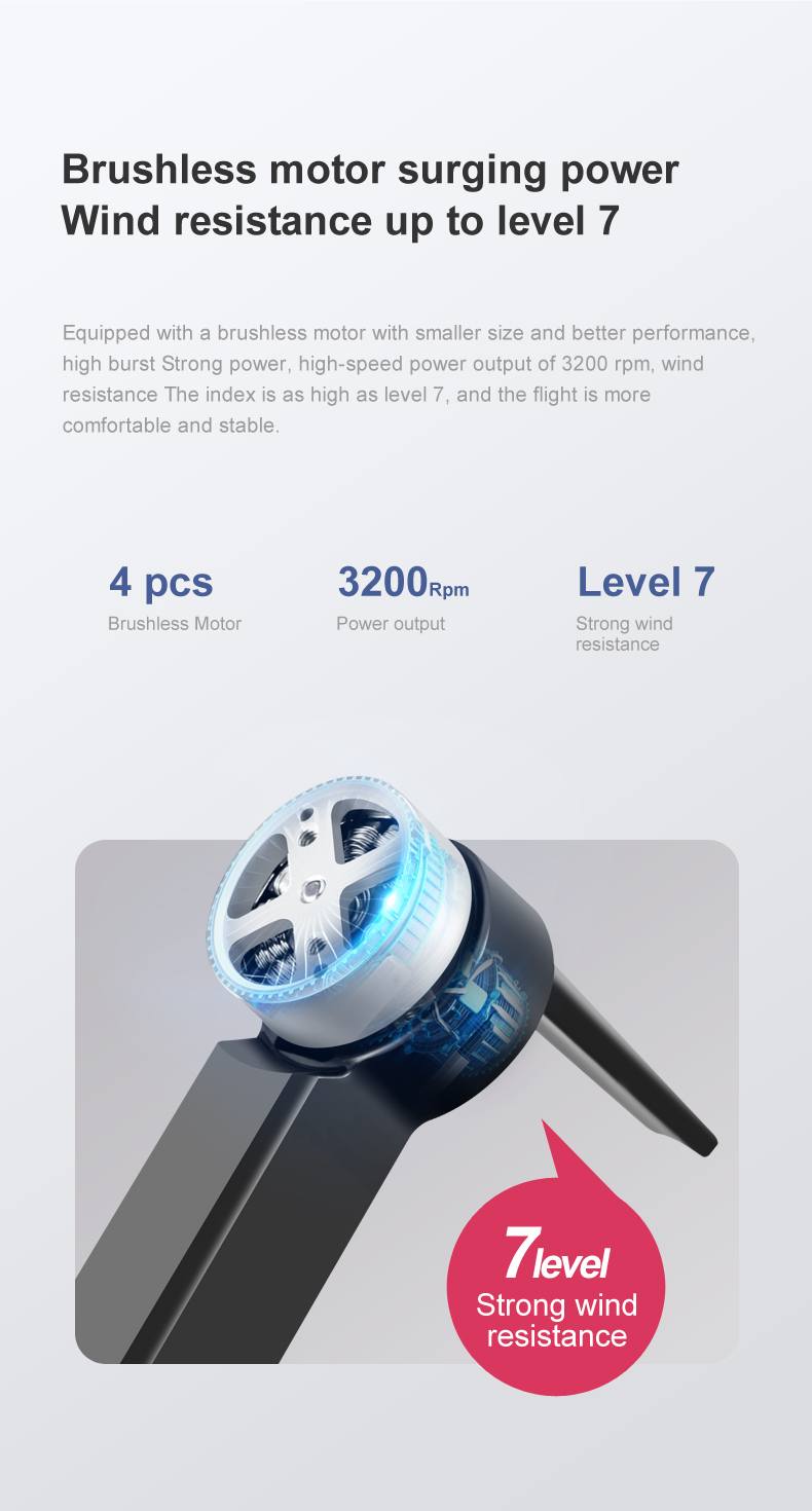 موتور براشلس